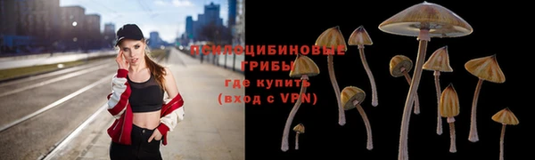 индика Грязи
