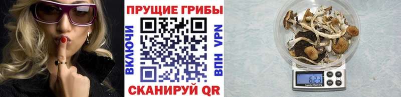 Купить  Иннополис  Галлюциногенные грибы Magic Shrooms 